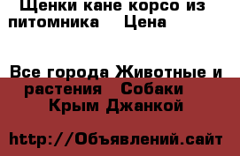 Щенки кане корсо из  питомника! › Цена ­ 65 000 - Все города Животные и растения » Собаки   . Крым,Джанкой